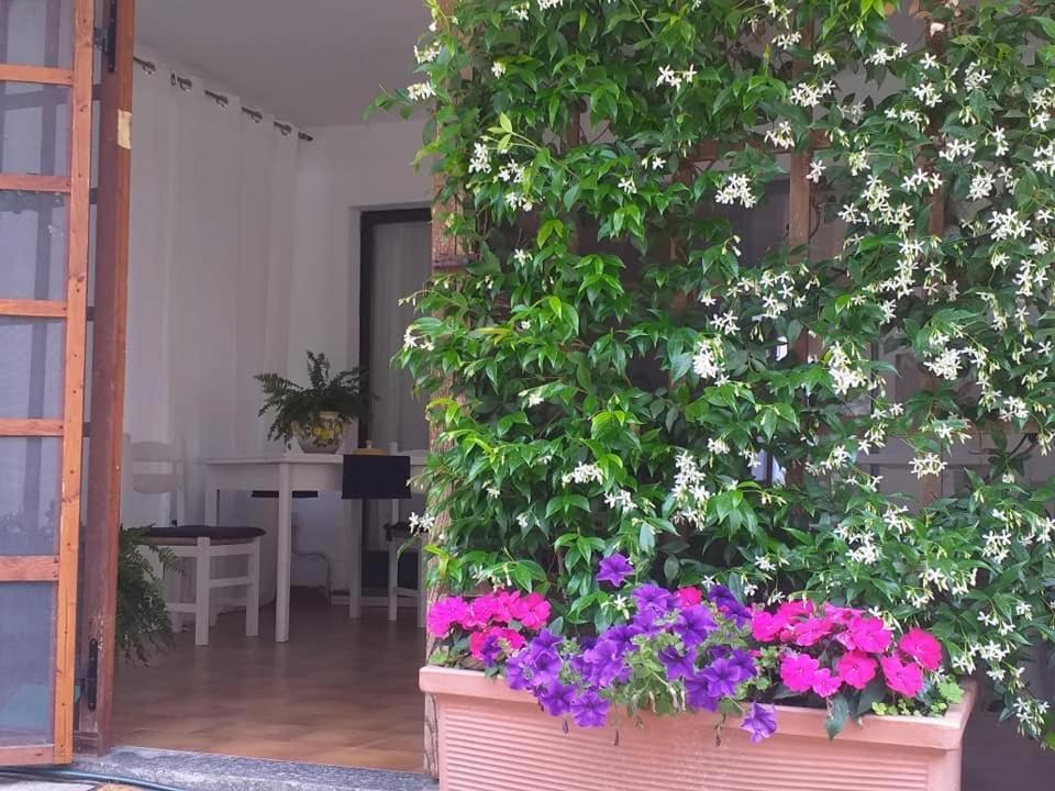 Alla Ghigliotta Viverone Extérieur photo